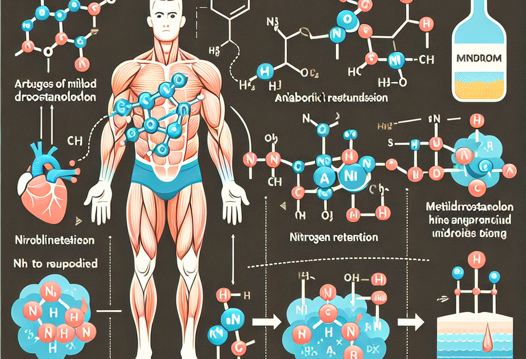 Metildrostanolona y retención de nitrógeno: ¿qué significa?