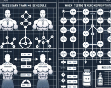 Cómo ajustar el entrenamiento al usar Propionato de testosterona